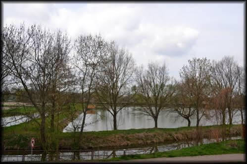 Penzion U Kohoutka Pardubice Esterno foto